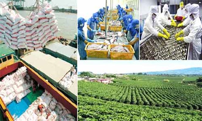 Triển khai thi hành Luật Lâm nghiệp, Luật Thủy sản