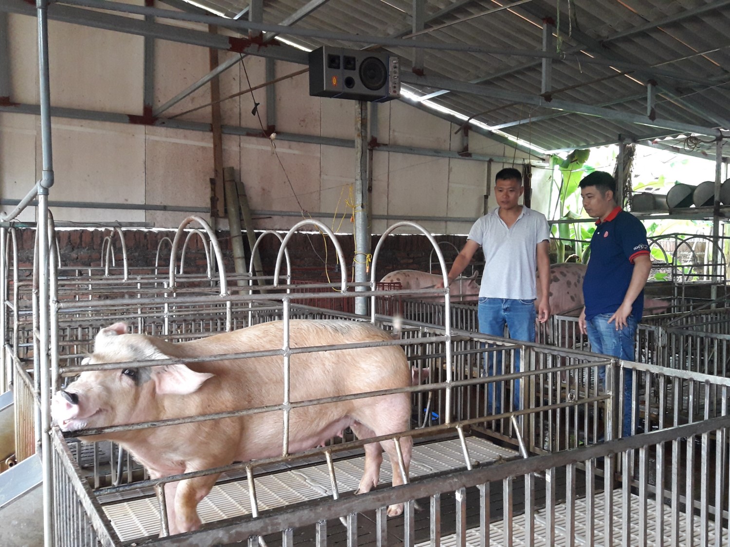 Thành công nhờ cách làm mới