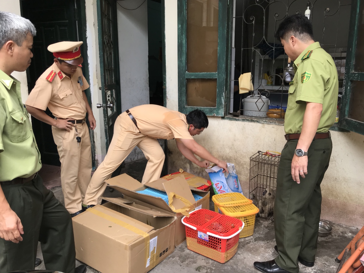 Bắt giữ đối tượng vận chuyển trái phép động vật hoang dã quý hiếm