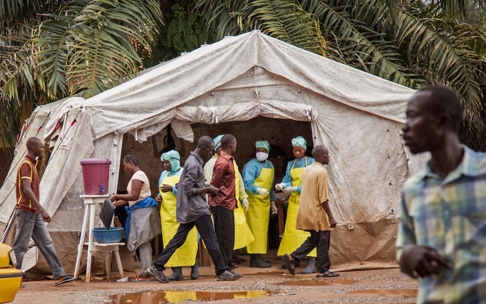Dịch bệnh do virus Ebola tái bùng phát ở CHDC Congo