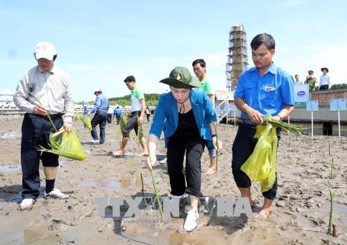 Chủ tịch Quốc hội dự lễ trồng cây và trao tặng sữa cho trẻ em tại Cà Mau