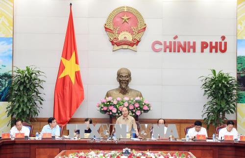 Tập trung nguồn lực, triển khai đồng bộ, kịp thời các giải pháp về chống sạt lở