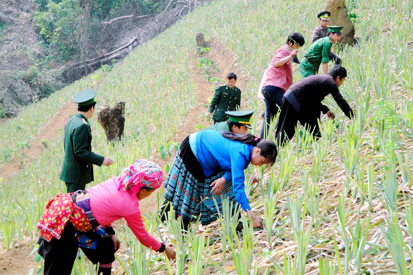 Tuyên truyền và thực hiện hiệu quả chính sách dân tộc của Đảng và Nhà nước