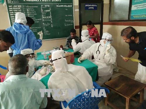 Ấn Độ Thêm người tử vong vì virus Nipah