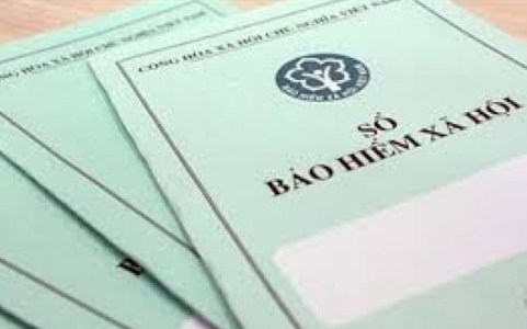 Đã bàn giao được hơn 11,3 triệu sổ BHXH cho người lao động