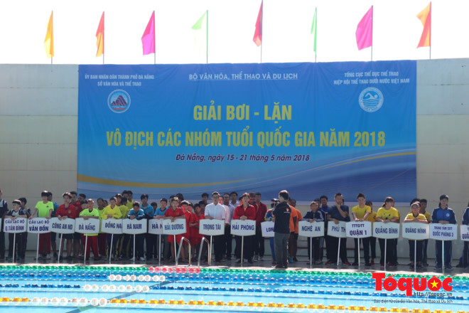 Gần 350 vận động viên tham gia Giải bơi - lặn vô địch các nhóm tuổi quốc gia 2018