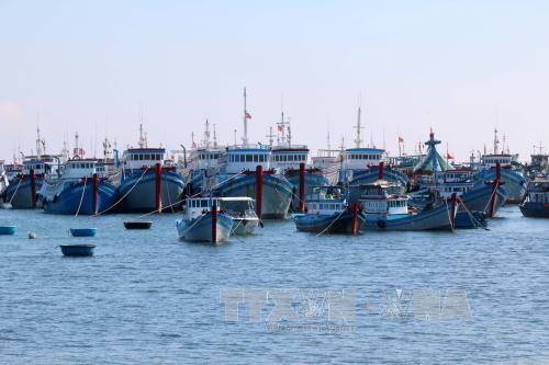 Khắc phục thẻ vàng IUU Tiến tới nghề cá có trách nhiệm