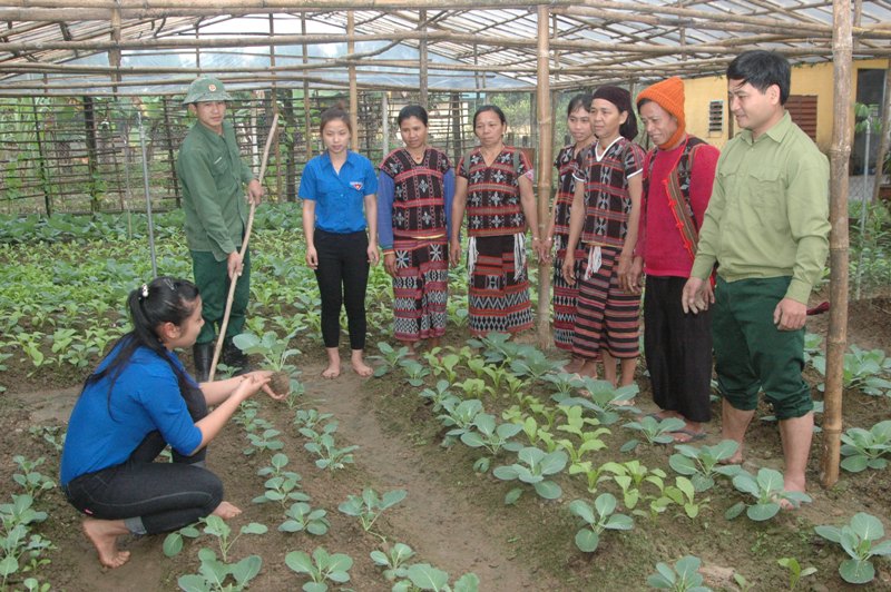 Sức trẻ nơi vùng cao A Lưới