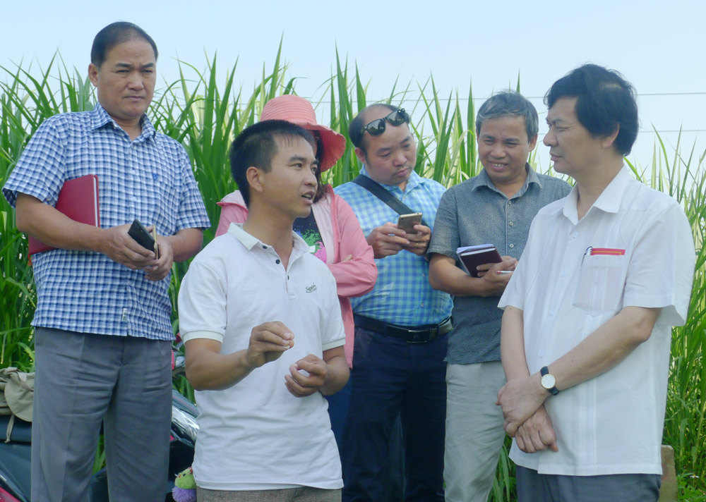 Đảng viên trẻ tiên phong làm kinh tế