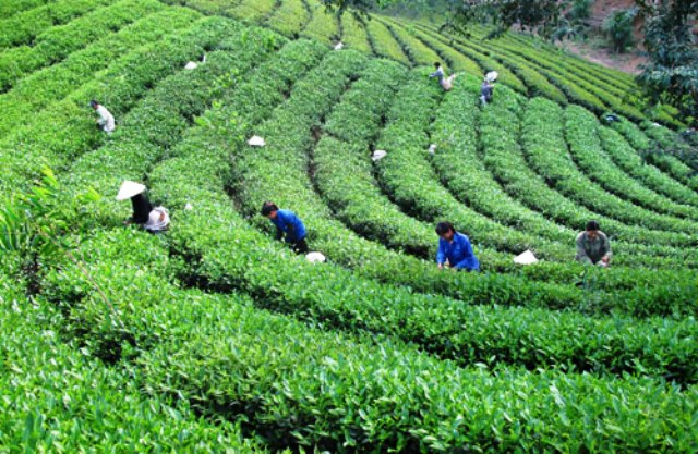 Tiềm năng phát triển làng nghề ở Thái Nguyên