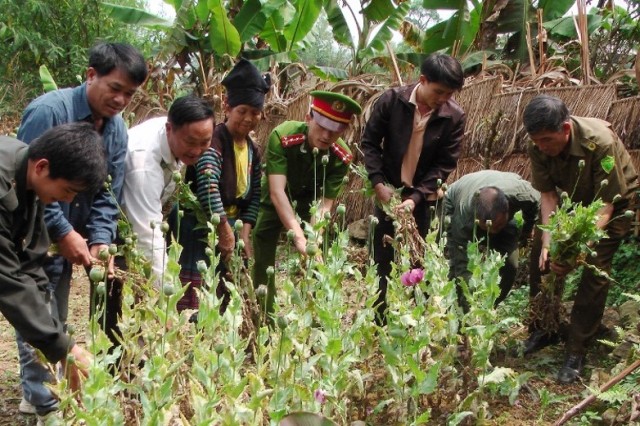 Điện Biên tăng cường công tác phòng chống tội phạm ma túy