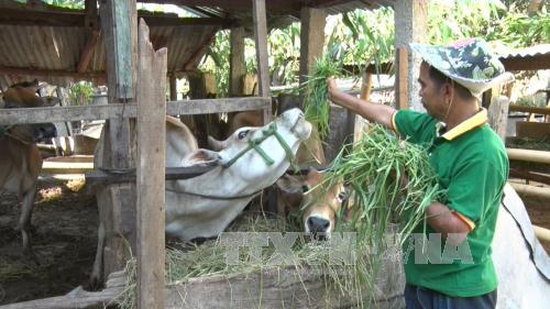 Nhiều chính sách đối với hộ nghèo thiếu hụt đa chiều