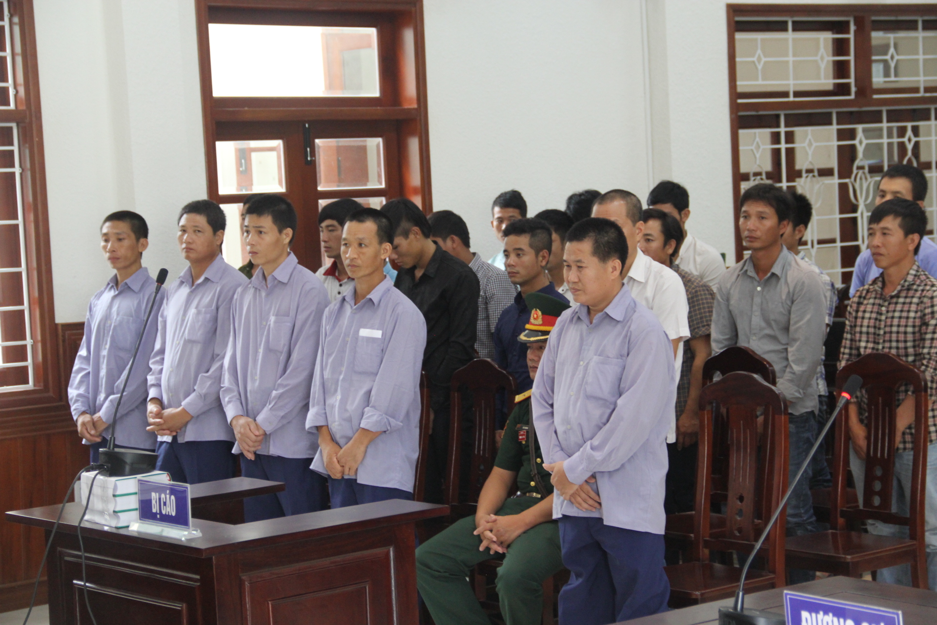 Tiếp tay lâm tặc phá rừng pơ mu, Đồn phó Biên phòng nhận 4 năm tù