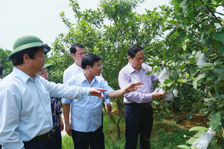 Xây dựng nông thôn mới phải nâng cao đời sống người dân, không chạy theo thành tích