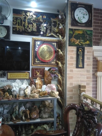 Tịch thu 72 tiêu bản rùa biển quý hiếm ở Vũng Tàu