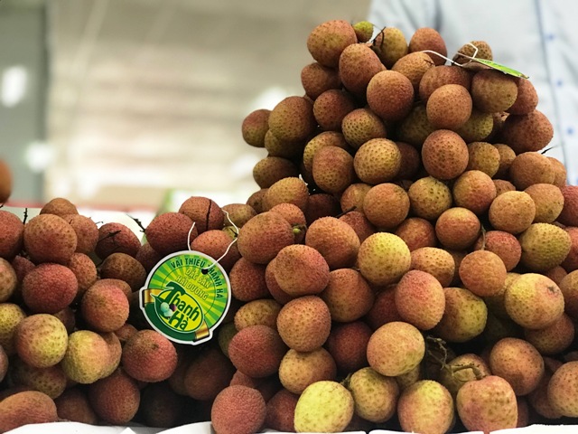 “Tuần lễ vải thiều Thanh Hà” sẽ được tổ chức tại Hà Nội