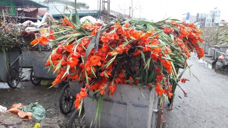 Hình thức và lãng phí