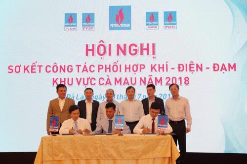Cụm Khí - Điện - Đạm Cà Mau đóng góp ngân sách 2 000 tỷ đồng năm