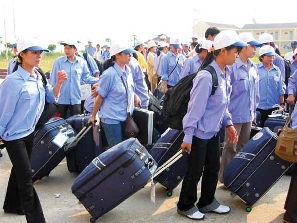 Xử lý kịp thời những vi phạm trong công tác xuất khẩu lao động