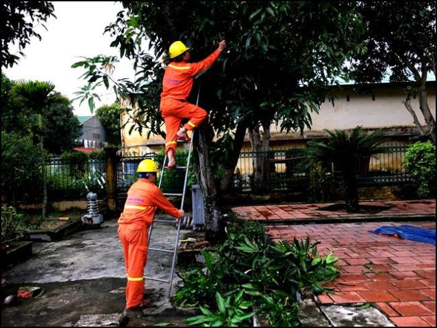 Điện lực miền Bắc sẵn sàng ứng phó với bão số 3