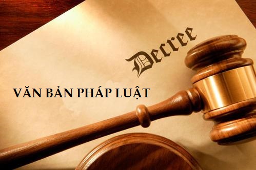 Phân công soạn thảo văn bản quy định chi tiết thi hành 6 luật