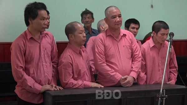 Trả hồ sơ để điều tra bổ sung vụ phá rừng quy mô lớn tại Bình Định