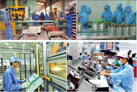 Bổ sung Phó Chủ tịch Hội đồng Quốc gia về Phát triển bền vững và Nâng cao năng lực cạnh tranh