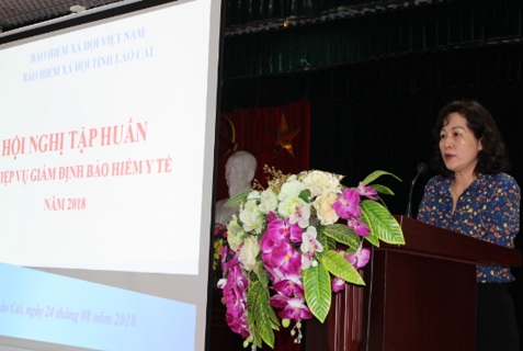 Lào Cai Tập huấn nghiệp vụ công tác giám định BHYT năm 2018