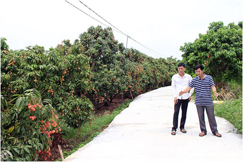 Vai trò của chi bộ trong lãnh đạo đổi mới bộ mặt nông thôn