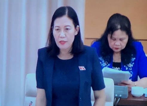 Vẫn còn tư duy soạn thảo dự án luật có lợi cho bộ, ngành