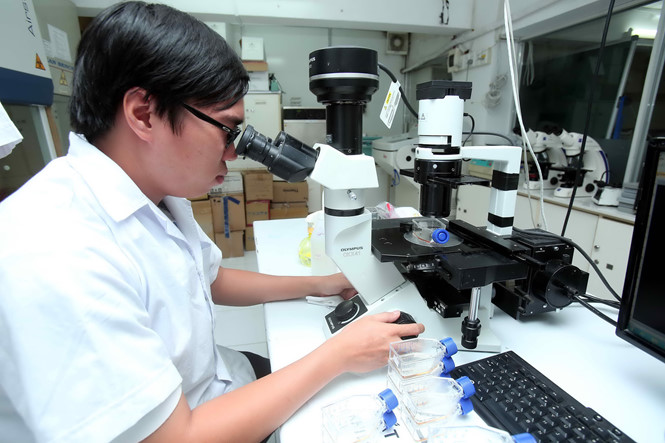 Thực hiện chính sách, pháp luật về phát triển khoa học và công nghệ tại tỉnh Phú Yên