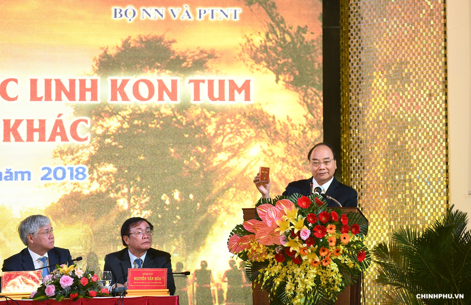 Đưa “quốc bảo” sâm Ngọc Linh thành “quốc kế dân sinh”