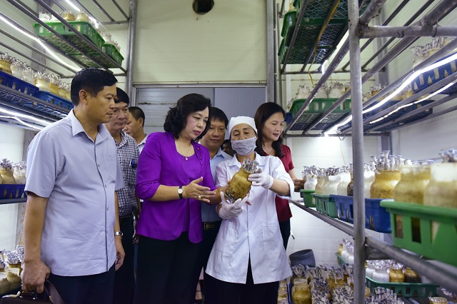 Huy động cả hệ thống chính trị xây dựng nông thôn mới