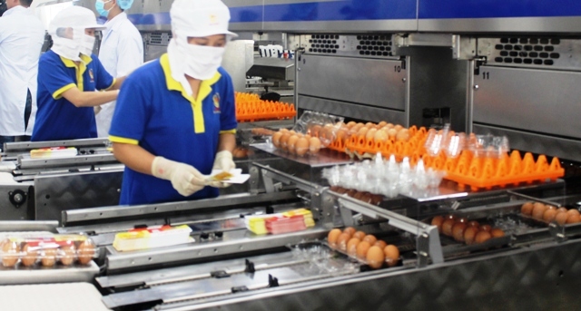 Làm thế nào để tăng năng suất lao động