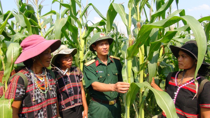 Hiệu quả từ phong trào đảng viên hỗ trợ, giúp đỡ hộ nghèo