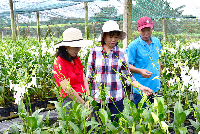 Thành công nhờ học hỏi, vượt khó vươn lên không lùi bước