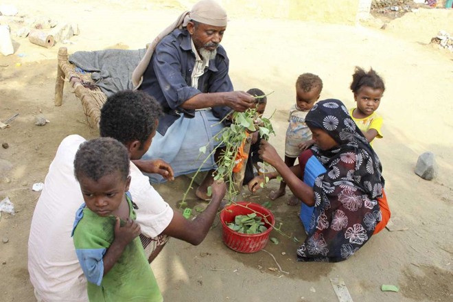 Một nửa dân số Yemen đối mặt với nạn đói