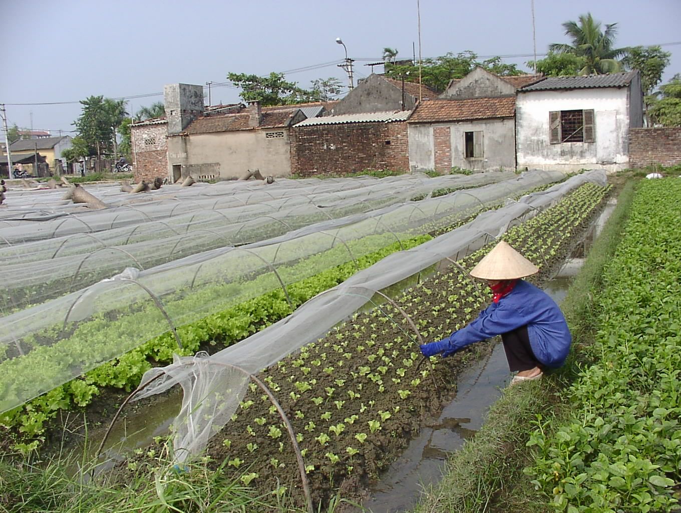 Vĩnh Phúc Phấn đấu hướng tới thoát nghèo bền vững