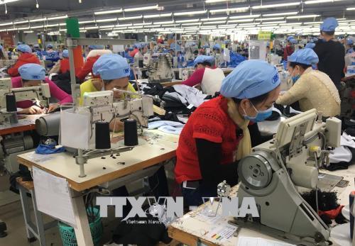 EVFTA - chất xúc tác cho xuất khẩu dệt may và da giày