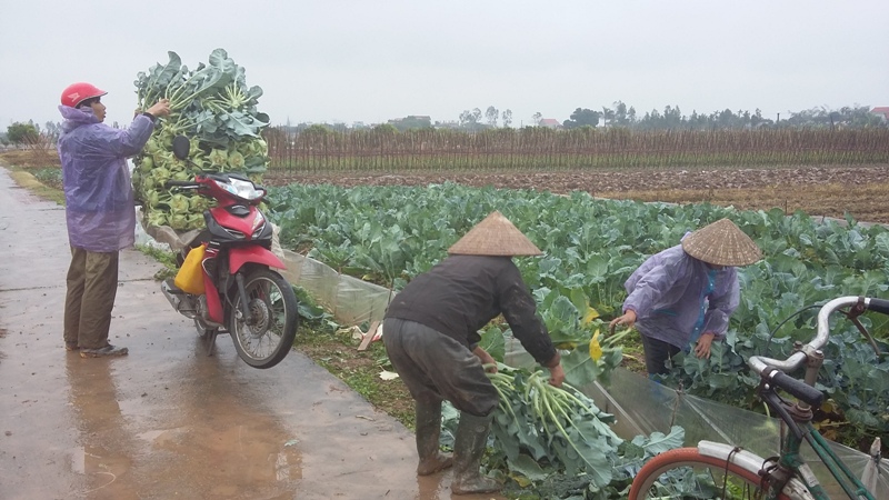 Không thể chỉ hô hào