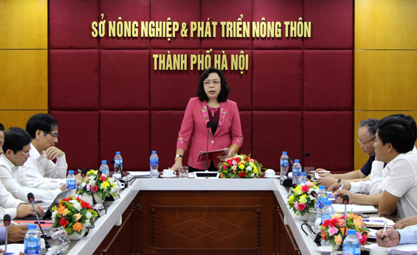 Sở Nông nghiệp và Phát triển nông thôn Hà Nội giảm 11 đầu mối sau sắp xếp tổ chức bộ máy