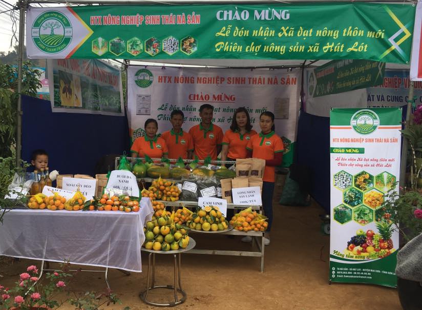 Mùa vàng Mai Sơn
