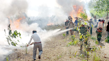 Chủ rừng phải tổ chức thực tập phương án chữa cháy rừng