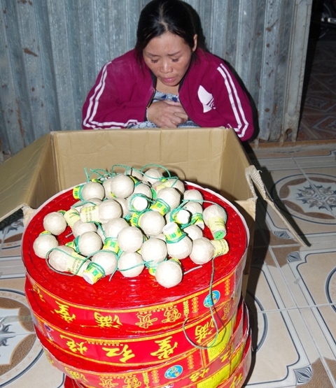 Hà Nam Bắt giữ vụ vận chuyển hàng trăm quả pháo nổ