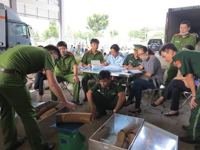 Tăng cường thực thi pháp luật phòng chống buôn bán động vật hoang dã