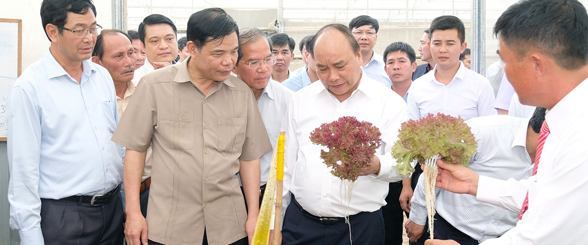 10 năm thực hiện nghị quyết tam nông