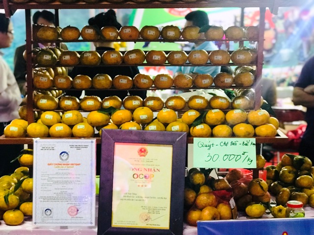 Đưa cam, quýt trở thành một trong những chủ lực nông nghiệp Bắc Kạn