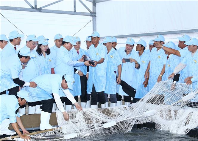Thủ tướng thăm Khu sản xuất cá tra giống công nghệ cao tại An Giang