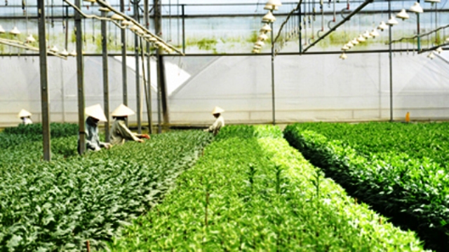Vĩnh Phúc Triển khai đổi mới dây chuyền, máy móc, thiết bị và ứng dụng công nghệ tiên tiến vào sản xuất