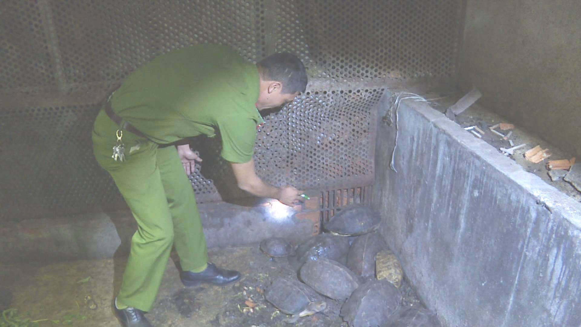 Đắk Lắk Phát hiện vụ nuôi nhốt 51 cá thể động vật hoang dã trái phép